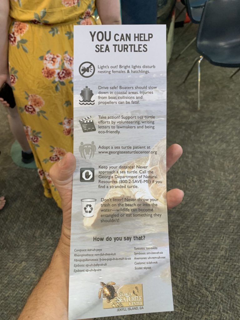 back of the sea turtle life card